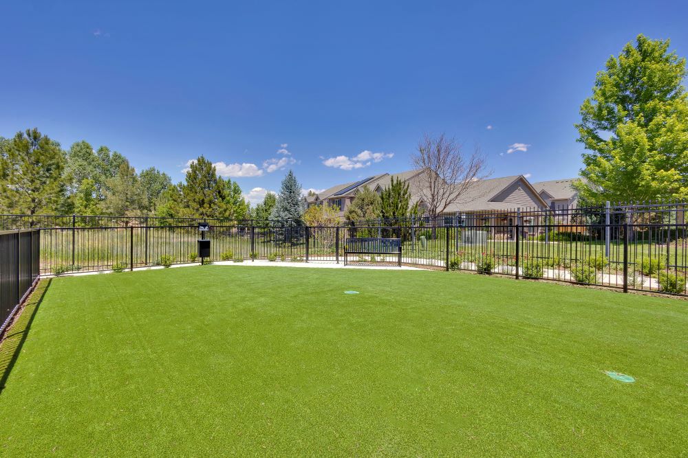 Pet park with park bench and open space